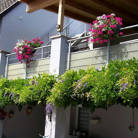 C' 1 Comble Ferienhaus Bischwihr