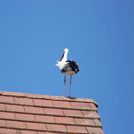 C' 1 Comble Bischwihr